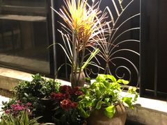 -冰冰龙虾·江湖菜·花园江景餐厅