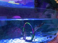 -沈阳海洋探索中心