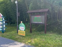 -黄海国家森林公园