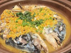 -苏州凯悦酒店·酒肆(华池街店)