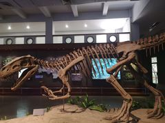 -自贡恐龙博物馆