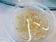 桂花酒酿圆子-笃笃笃糖粥(十全街店)