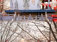 -武汉紫薇都市田园