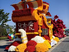 -荷兰花海