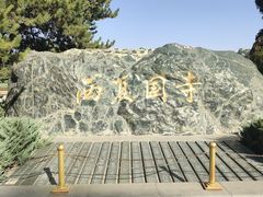 -张掖大佛寺景区