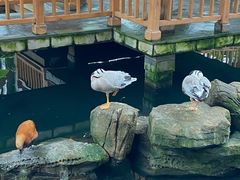 -南宫五洲植物乐园