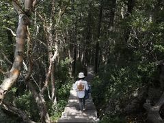 -白草畔自然风景区