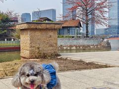 -喜洲吧·江畔老船厂·庭院餐厅(喜临院店)