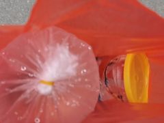 -清平路水族市场