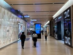 -关西国际机场直营免税店