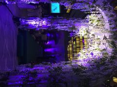 康莱德酒店-北京康莱德酒店