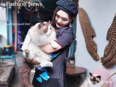 -喵屿·大理花园猫咖