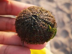 -日照灯塔风景区