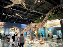 -国家自然博物馆