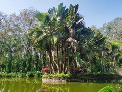 -海南热带野生动植物园