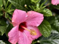 -番禺广场(市桥街道)