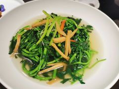 盐水西洋菜-粤凤佬