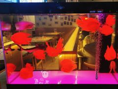 -叒缘夜光杯(望江橡树林店)