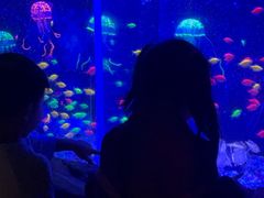 -常州海昌海洋探索馆