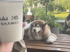 -SAANCI山池咖啡(海上世界文化艺术中心店)