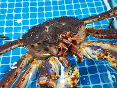 -三旗百汇商品城