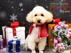 -喵汪宠物生活馆(涞坊路店)