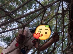 -蟠龙山长城景区