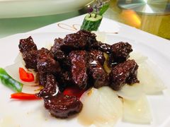 -碧丽宫大酒店(召稼楼店)