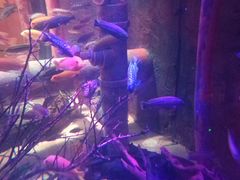 -沈阳海洋探索中心