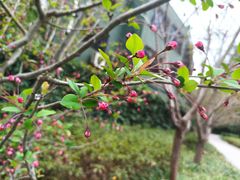 -徐家汇源景区-衡山公园