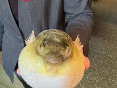 -永安鱼庄·镇江菜(东吴路店)