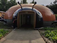 -朝阳公园游乐园