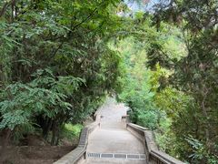 -白塔山公园