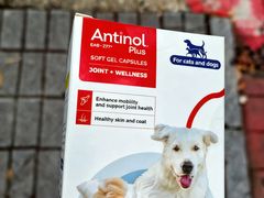 -博特宠物医院24h犬猫全科.骨科·异宠
