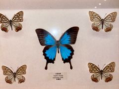 -艾溪湖湿地公园