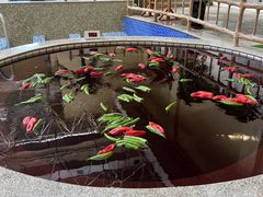 -哈尔滨太平湖温泉酒店
