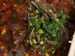 藿香鳝鱼-蓉诚小厨(黄田坝店)