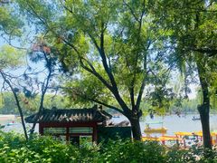 -北陵公园