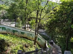 -中国大熊猫保护研究中心雅安碧峰峡基地