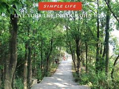 -梧桐山风景名胜区