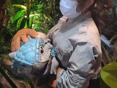 -侏罗纪世界电影特展(广州站)