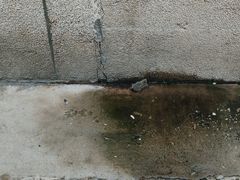 -大益烤鸡