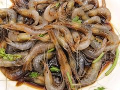 炝青虾-苏启渔港(云南北路店)