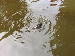 -酷鱼垂钓CLUB(朝阳区博大路店 )