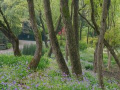 -西湖风景区-江洋畈生态公园