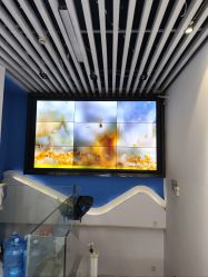 点击看大图 -神奇动物撸宠馆·羊驼·小浣熊·异宠(豫园店)