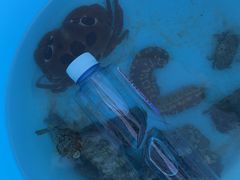 -三亚太阳湾柏悦酒店