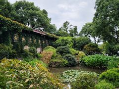 -中国茶叶博物馆(双峰馆区)