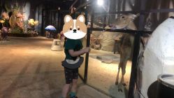 点击看大图 -酷嗒动物文化乐园(cutezoo西溪乐天城店)