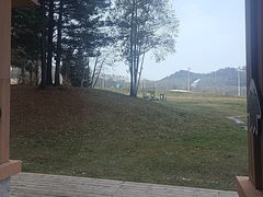 -长白山万达锦华套房酒店